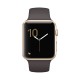 Apple Watch Gold Aluminum Case with Cocoa Sport Band Series 1 42mm